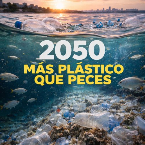 WhatsApp Image 2026-04-08 at 4.05.54 PM