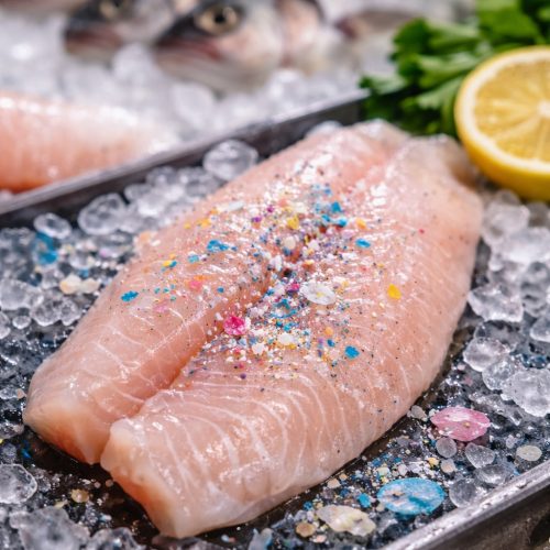 WhatsApp Image 2026-04-08 at 4.07.15 PM